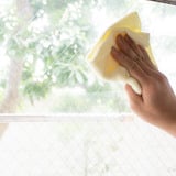 窓掃除に重曹 窓拭きにクエン酸も活用 窓ガラスの汚れを取ろう コジカジ