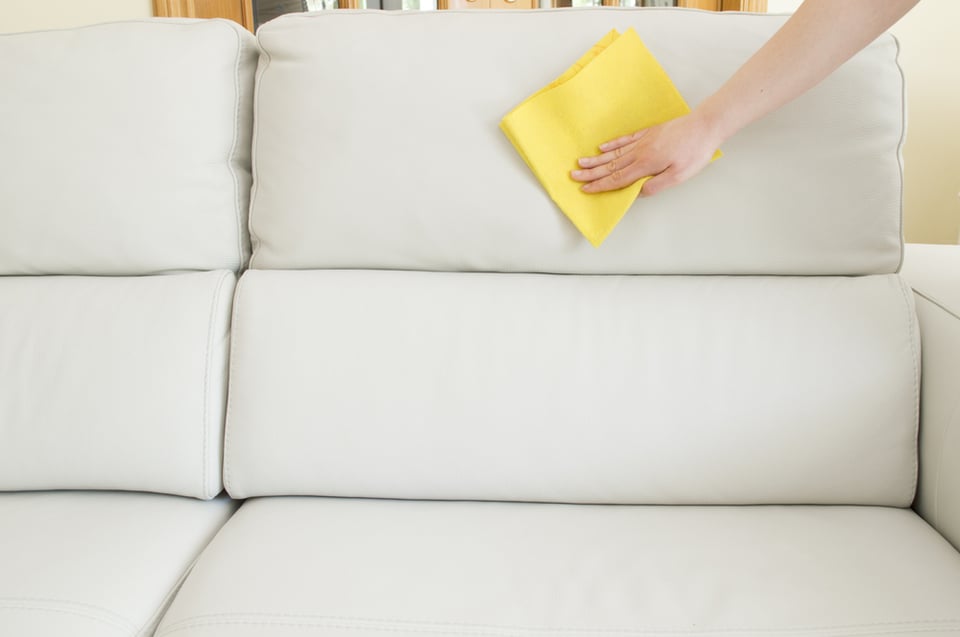 ソファのダニ対策 退治するには クッションのダニも駆除したい コジカジ