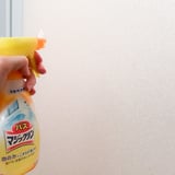 セスキ炭酸ソーダで風呂掃除 床の黒ずみや白 ピンク汚れは取れる コジカジ