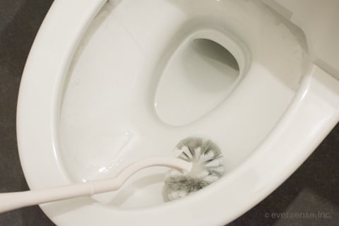 便器をブラシで磨く