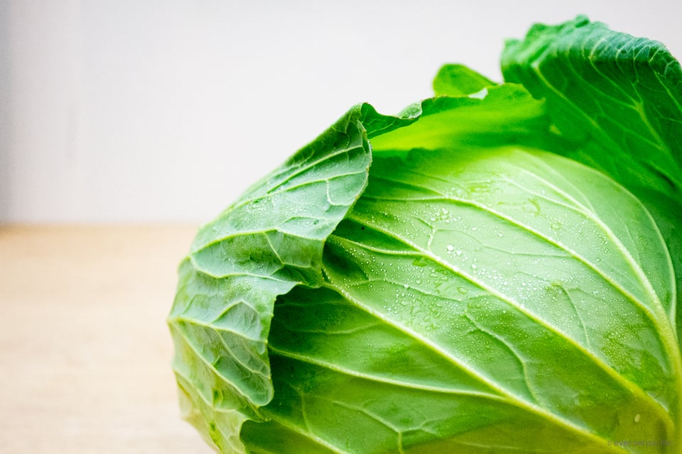 キャベツは冷蔵庫で日持ちする 保存期間や保管のコツは コジカジ