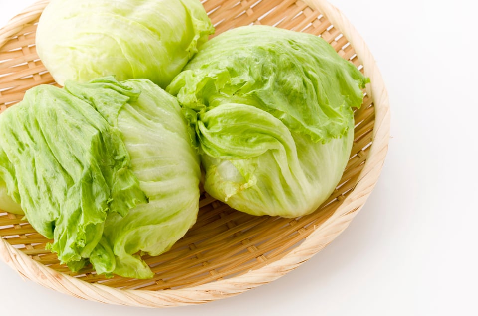 レタスの賞味期限はどれくらい 日持ちさせる最適な保存法を解説 コジカジ