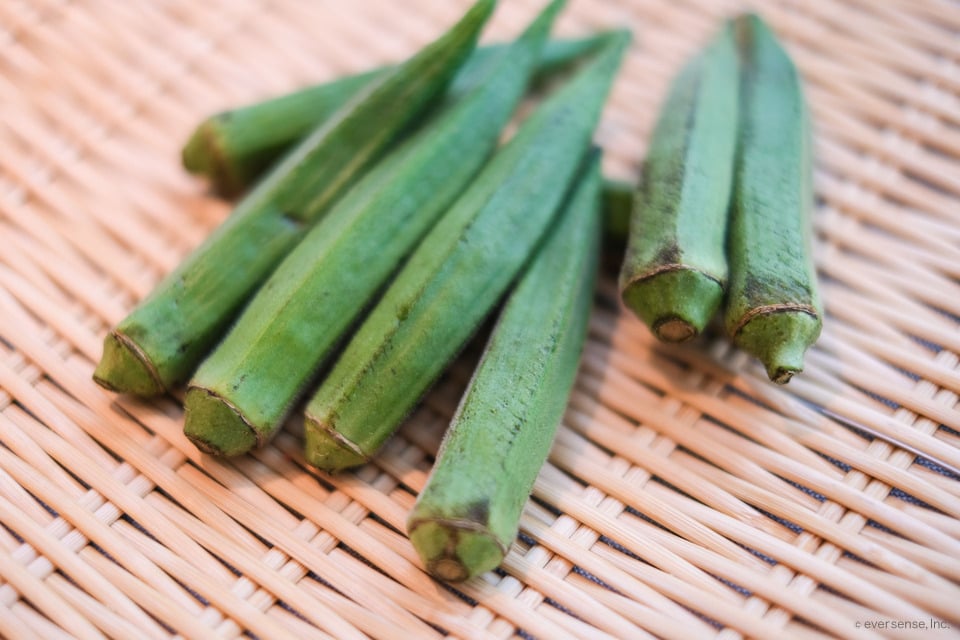 オクラの日持ち オクラの賞味期限って 長持ちさせる方法を解説 コジカジ オクラの日持ち オクラの賞味期限って 長持ちさせる方法を解説 コジカジ