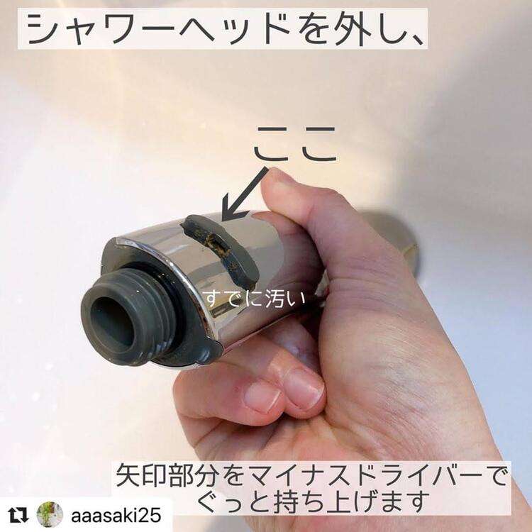 意外と簡単 シャワーヘッドの分解 念入り掃除 O コジカジ