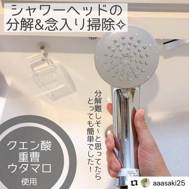 意外と簡単 シャワーヘッドの分解 念入り掃除 O コジカジ